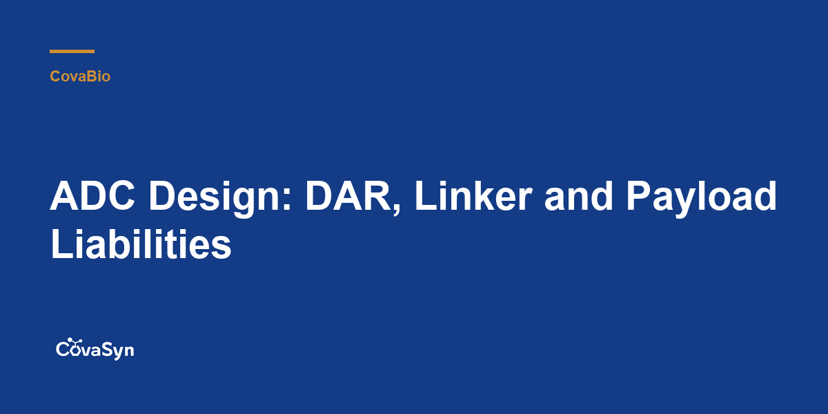 ADC Design: DAR, Linker and Payload Liabilities