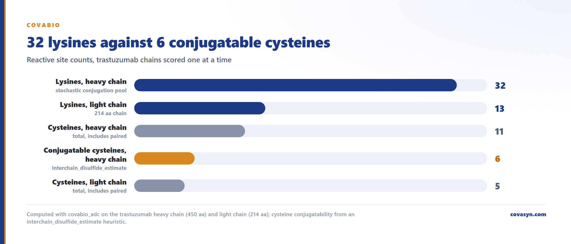 Bar chart of ADC conjugation site counts on trastuzumab: 32 lysines on the heavy chain and 13 on the light chain against 11 total cysteines with only 6 estimated conjugatable.