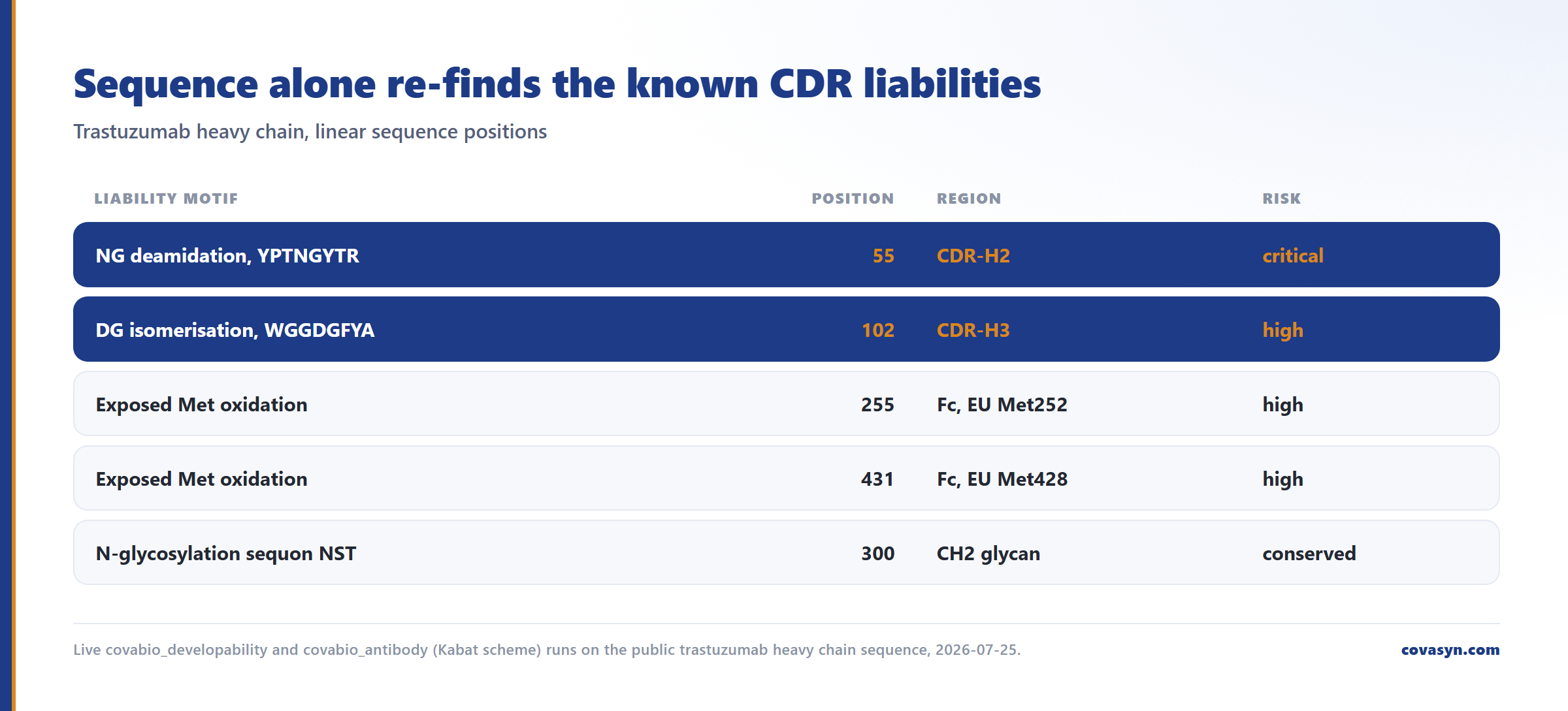 Table of antibody developability liabilities found from trastuzumab sequence alone: critical NG deamidation at position 55 in CDR-H2, high-risk DG isomerisation at 102 in CDR-H3, Met oxidation at 255 and 431.